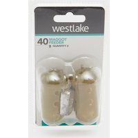 Westlake 40gm Cap Feeder 2pk  Silver
