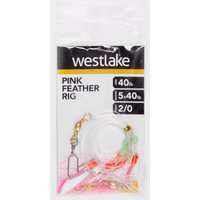 Westlake 5 Hook Pink Flash Feather Rig  Clear