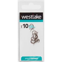 Westlake Eyed Barbed 10  Silver