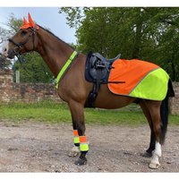 Equisafety Charlotte Dujardin Reflective Multi-coloured Mesh Horse Ears Yellow/orange  Yellow