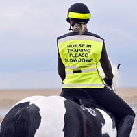 Equisafety Horse In Training Air Waistcoat  Yellow
