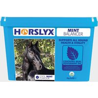 Horslyx Mint Balancer 5kg Refill  Blue