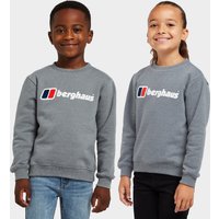 Berghaus Kids Logo Jumper  Grey