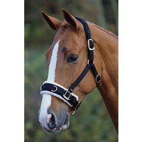 Shires Fleece Lined Lunge Cavesson  Black