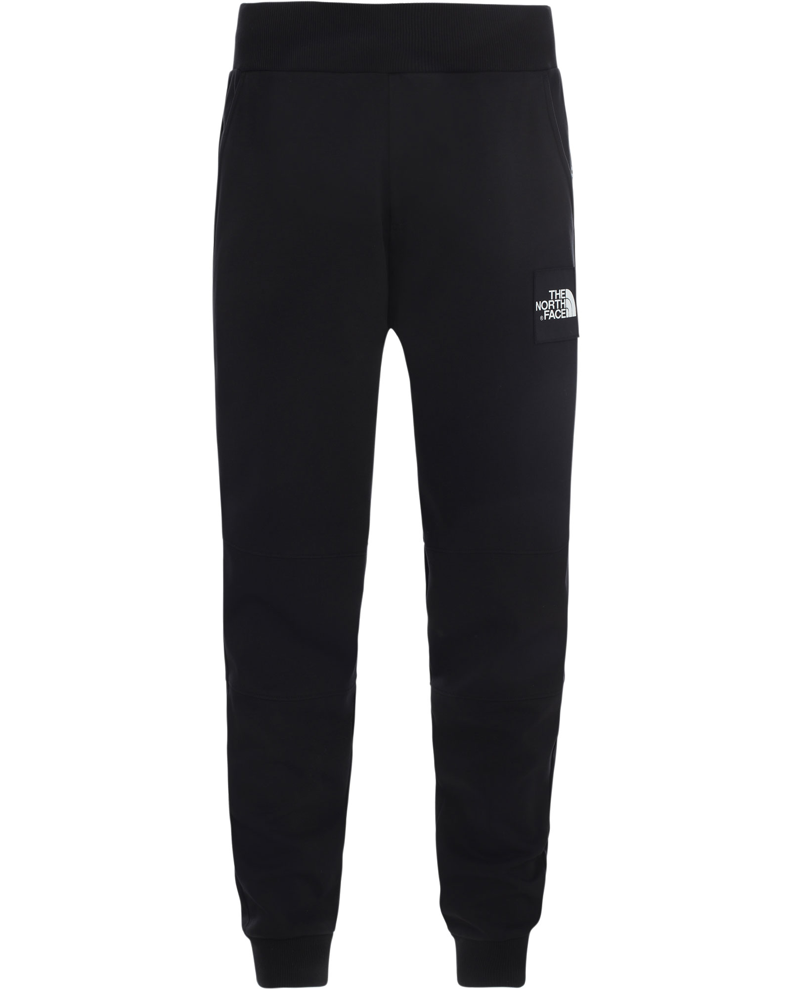 The North Face Fine 2 Mens Pants