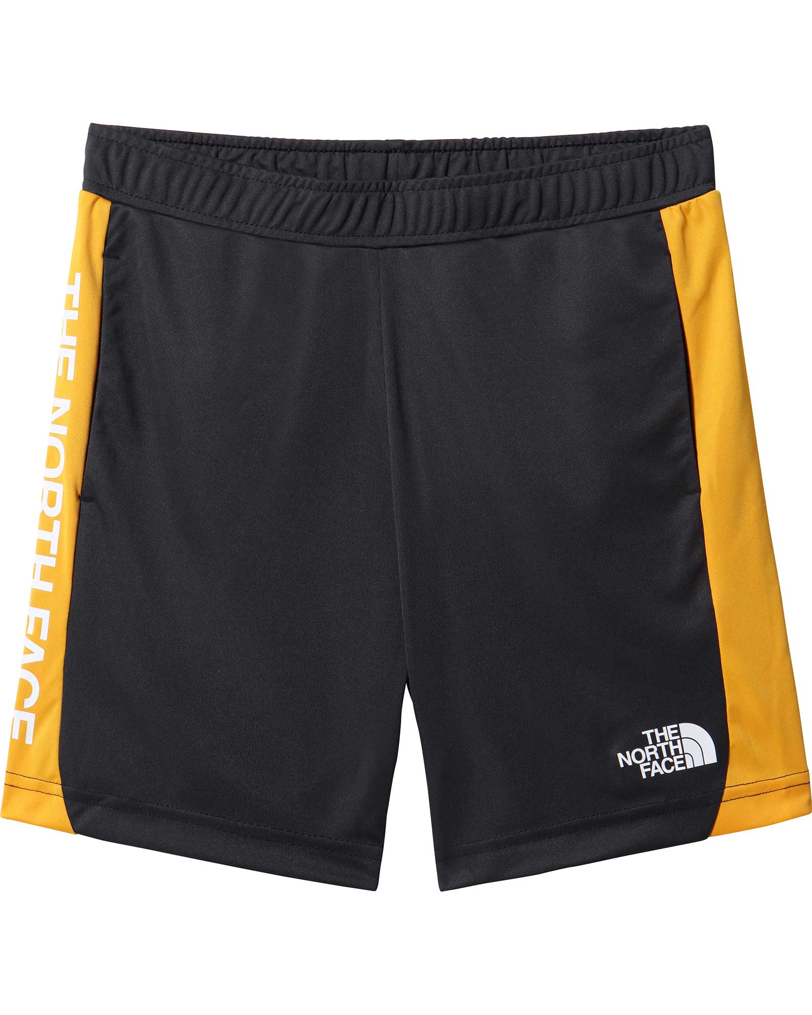 The North Face Never Stop Boys Training Shorts