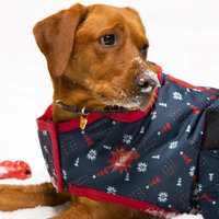 DigbyandFox Christmas Waterproof Dog Coat