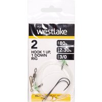 Westlake 2 Hook 1up 1down Rig 3/0  Multi Coloured