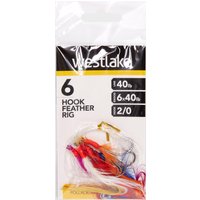 Westlake 6 Hook Feather Rig 2/0  Multi Coloured