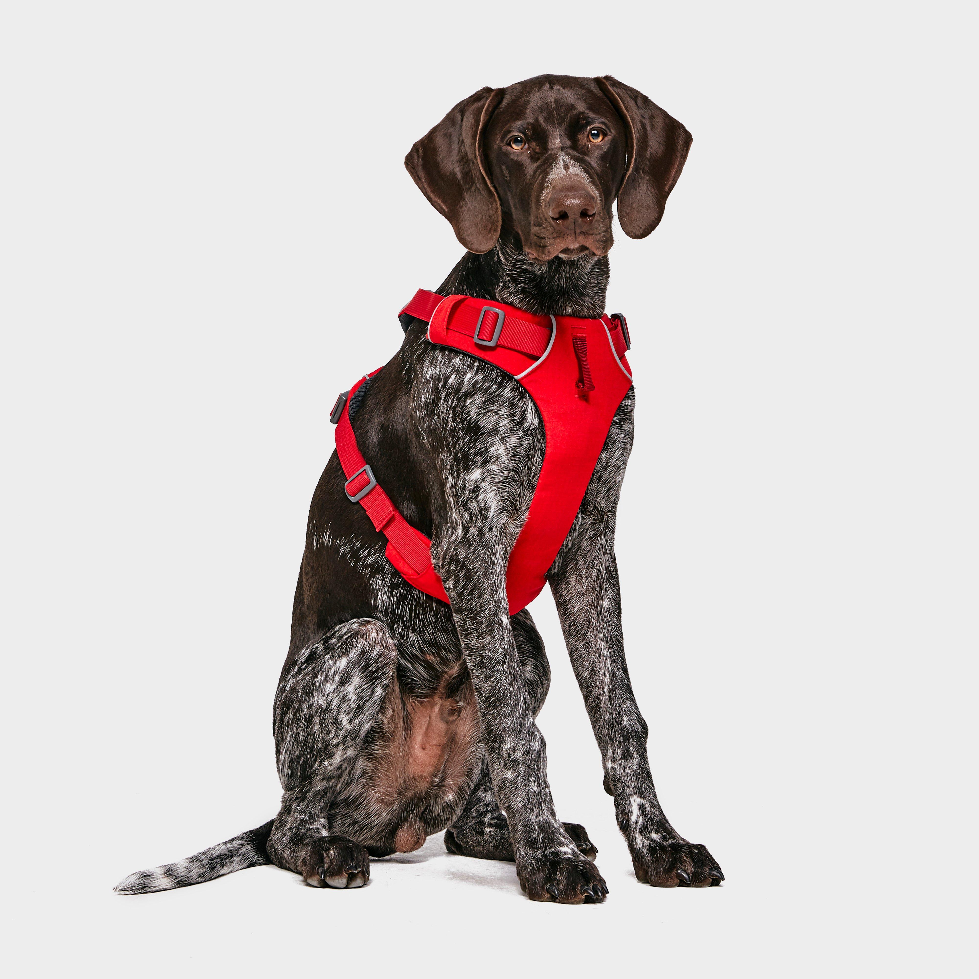 Ruffwear Front Range Harness - Red/red  Red/red