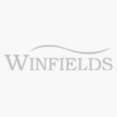 Wetlands Womens Cheddar Spotty Wellingtons-fuchsia / Blue-4