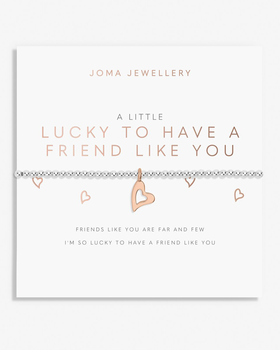 A Little lucky To Have A Friend Like You Bracelet In Silver And Rose Gold Plating