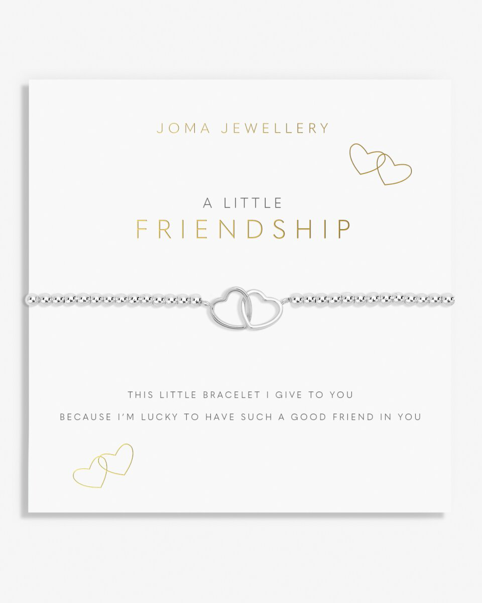 A Little Friendship Bracelet In Silver