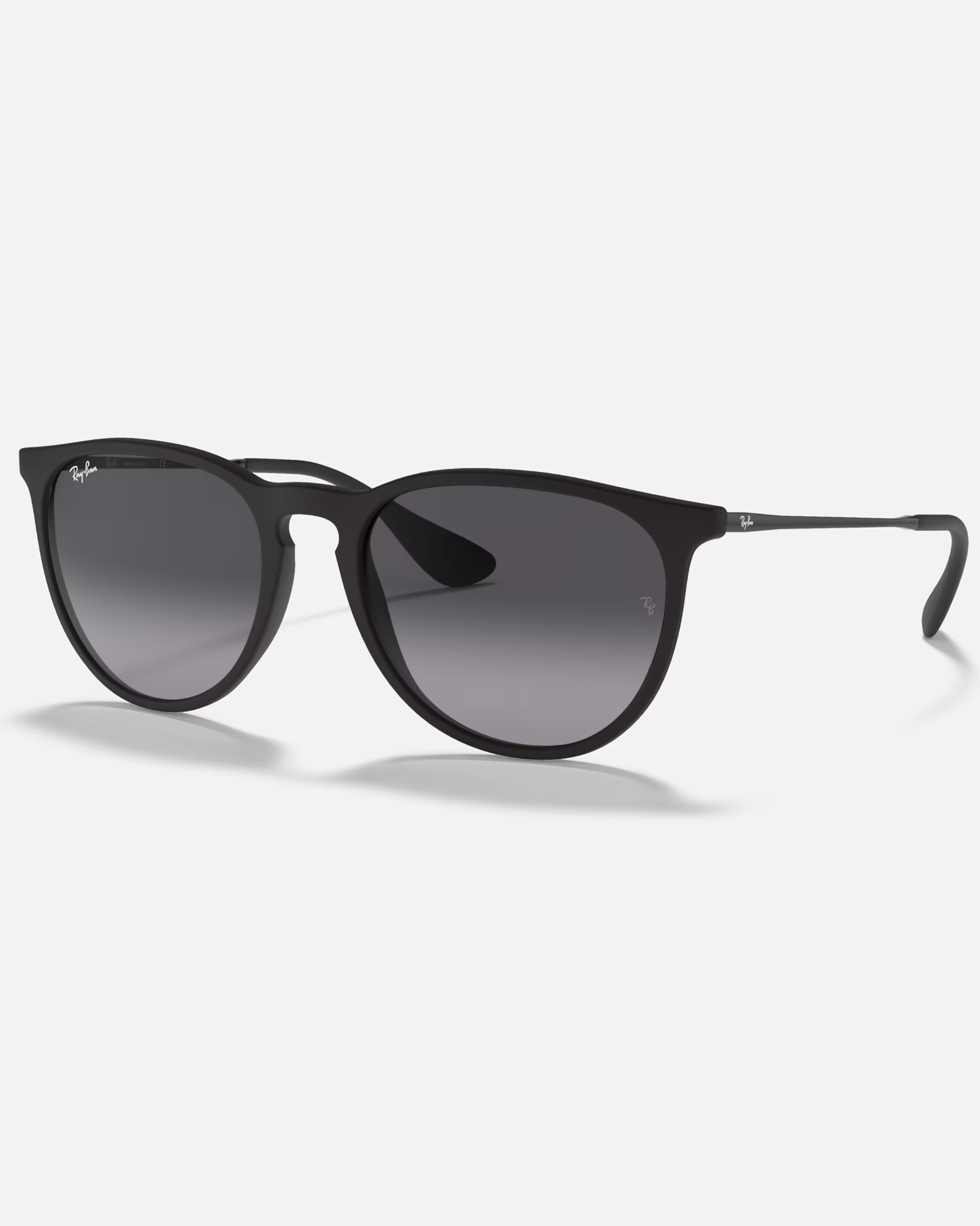 Erika Sunglasses In Black