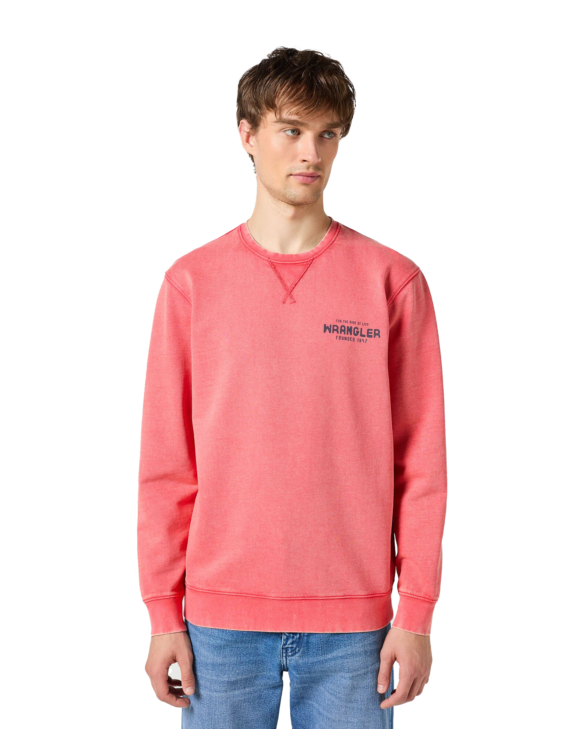 Graphic Sweatshirt In Burnt Sienna