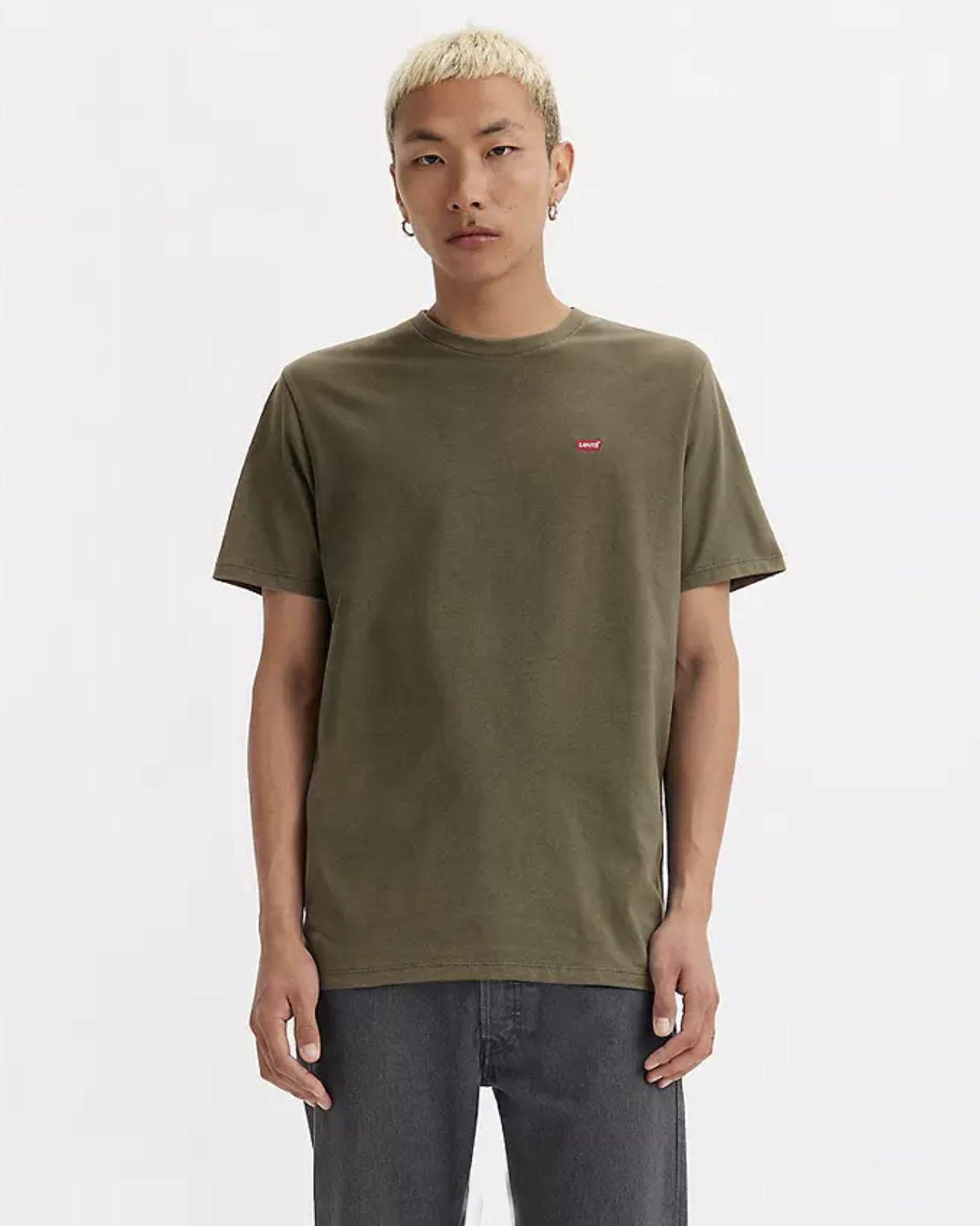 Original Housemark T-shirt In Olive Night