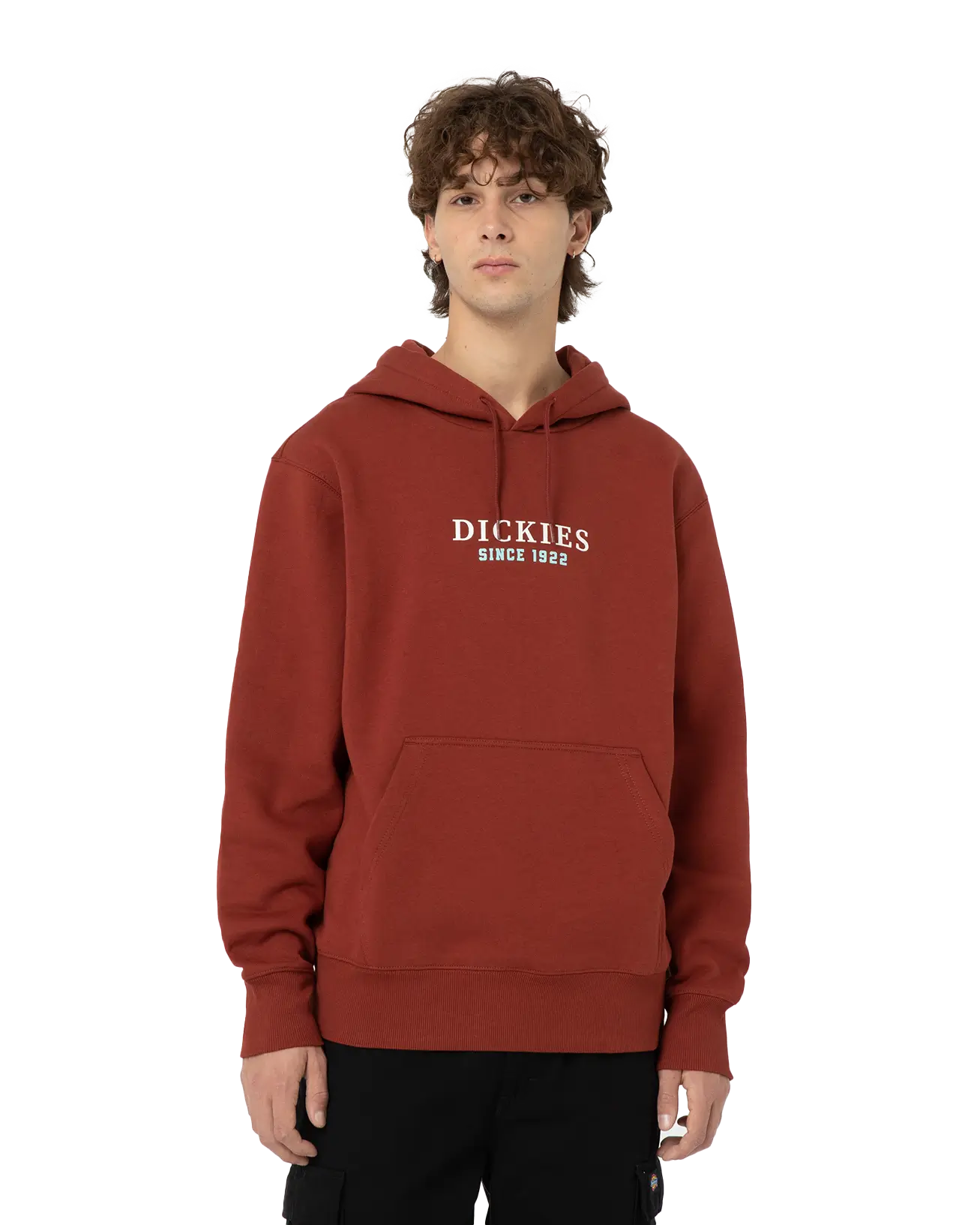 Park Hoodie In Fired Brick