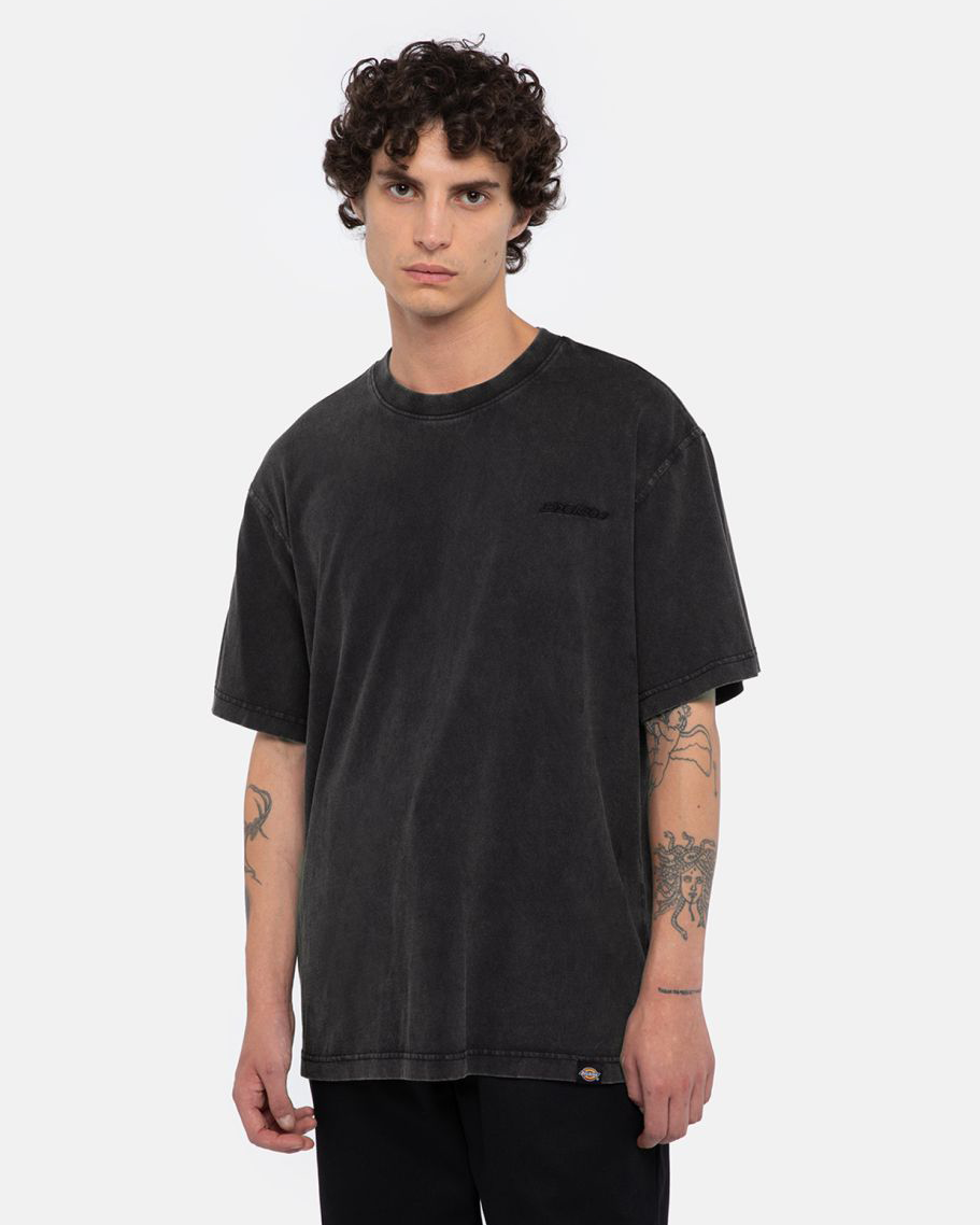 Plentywood T-shirt In Acid Wash Black