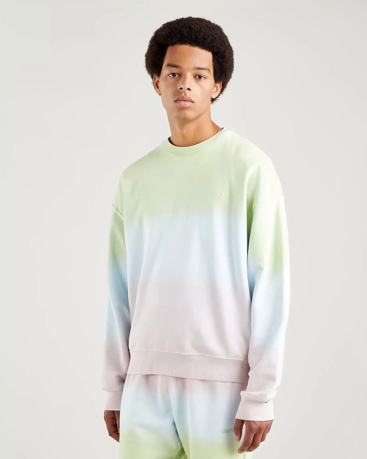Red Tab Sweatshirt In Skywash Fade Seedling