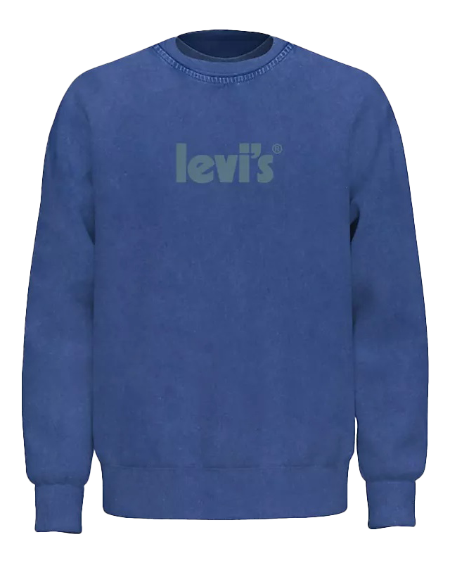 Relaxed Graphic Sweatshirt In Surf Blues