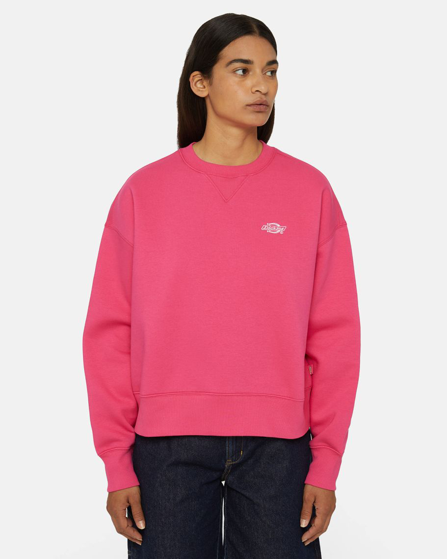 Summerdale Sweatshirt In Raspberry