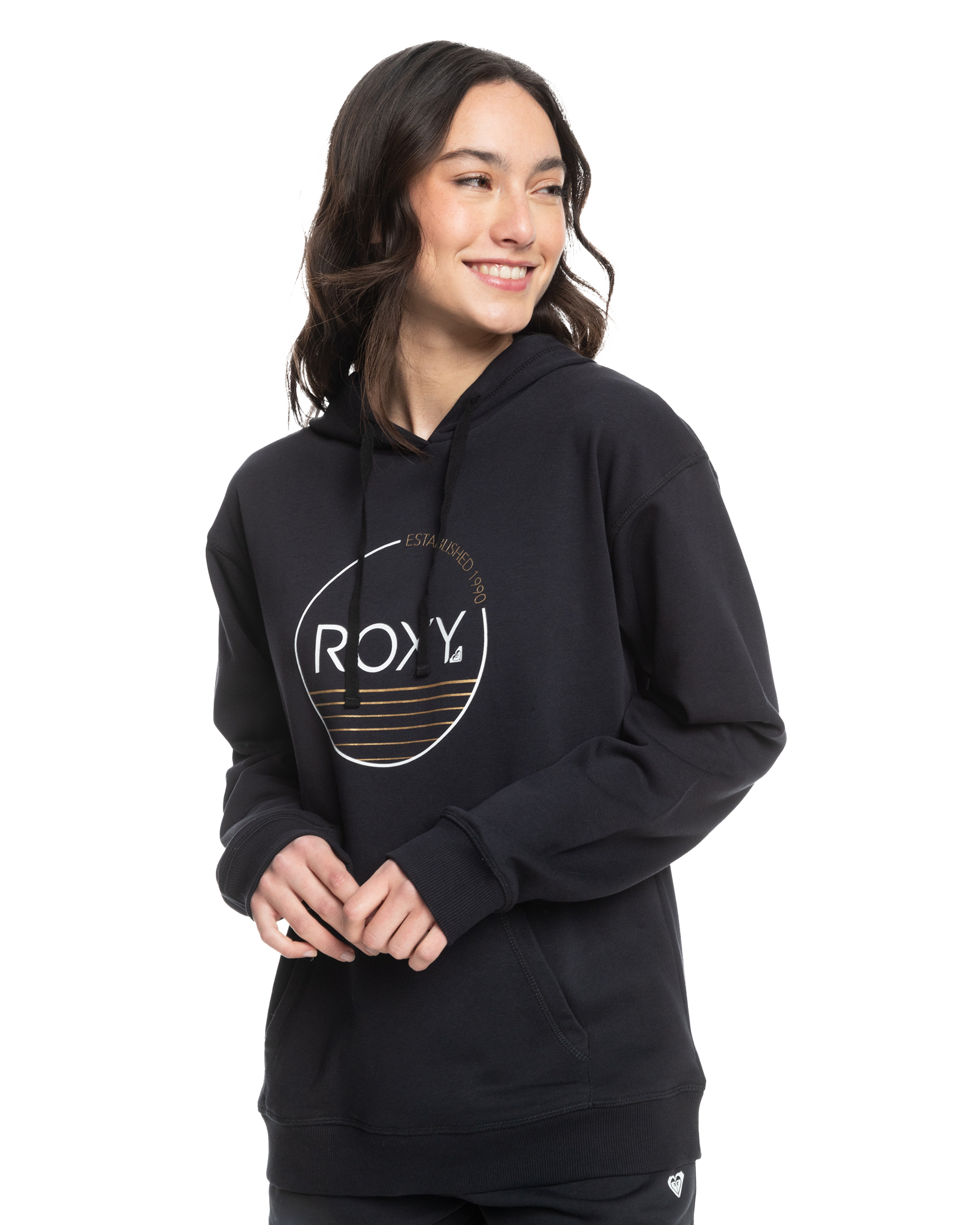 Surf Stoked Hoodie In Anthracite