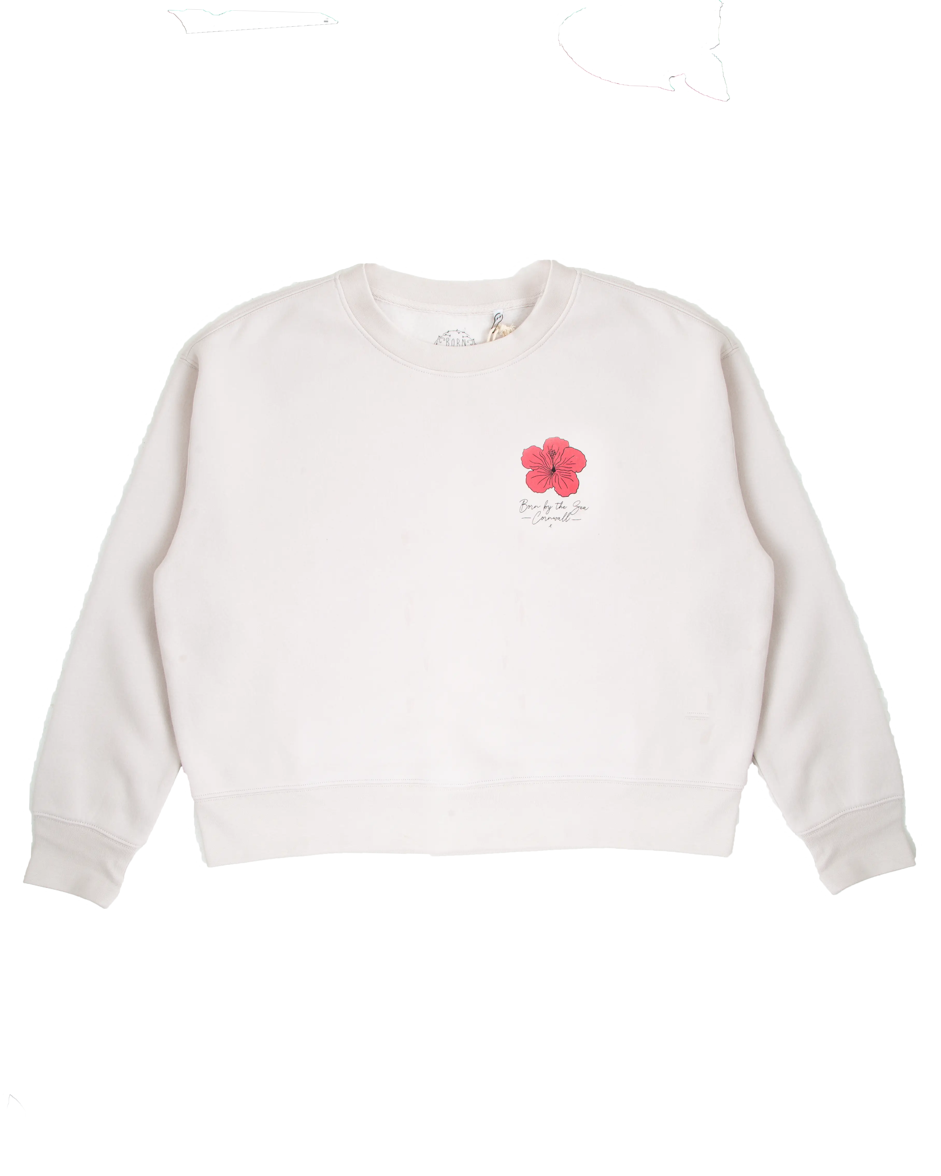 Surfboard Sweatshirt In Bone