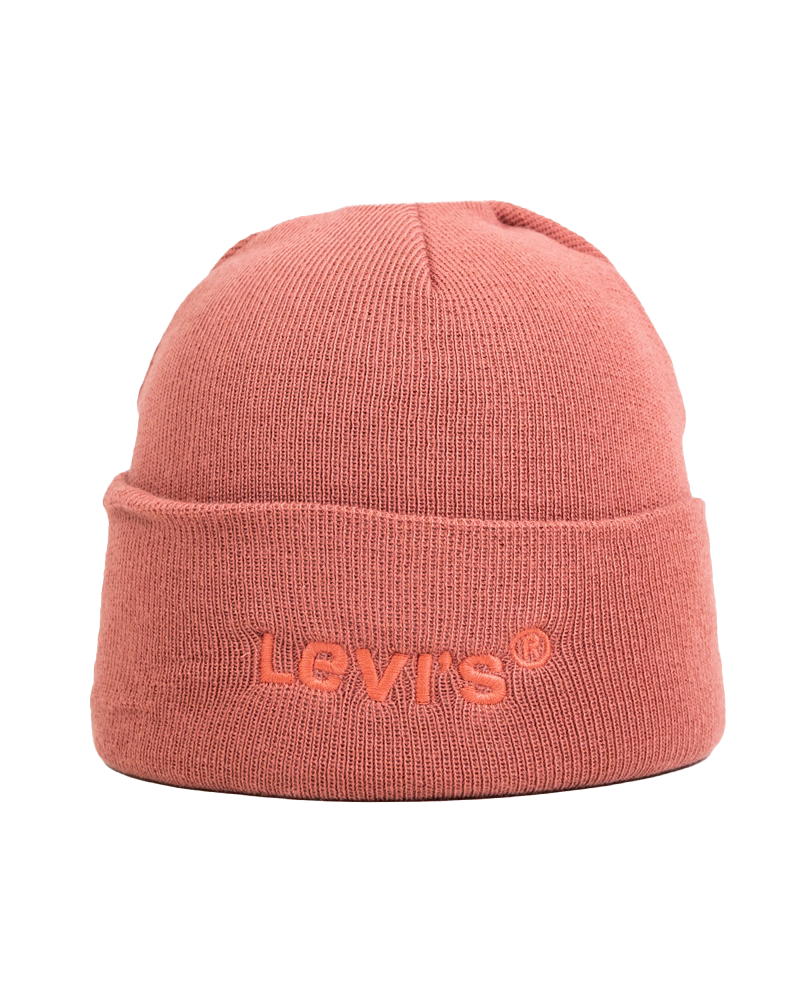 Wordmark Beanie In Dull Red