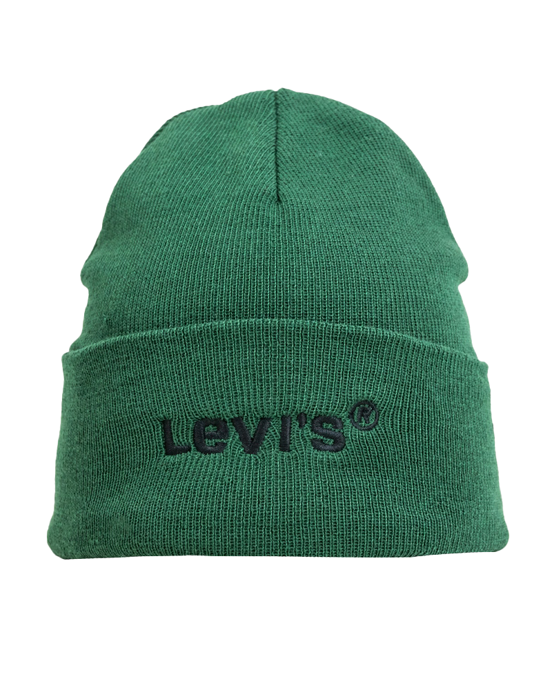 Wordmark Beanie In Regular Green
