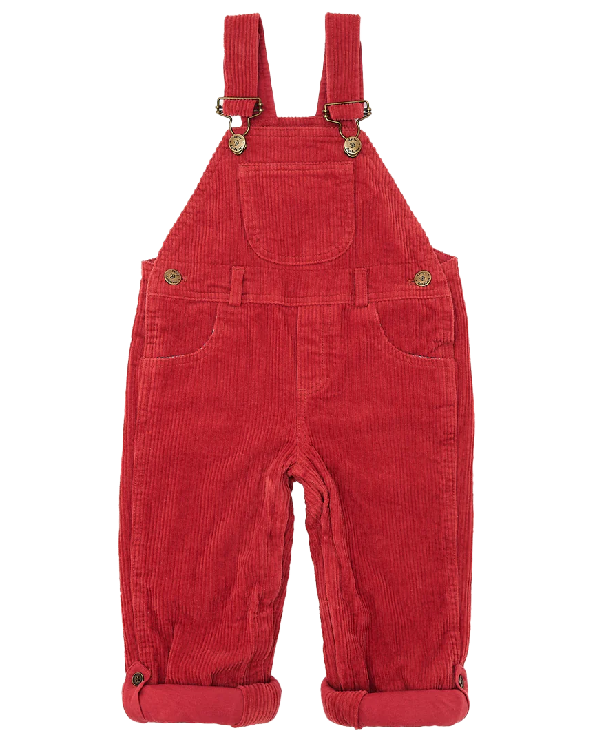Boys Chunky Muted Dungarees In Robin