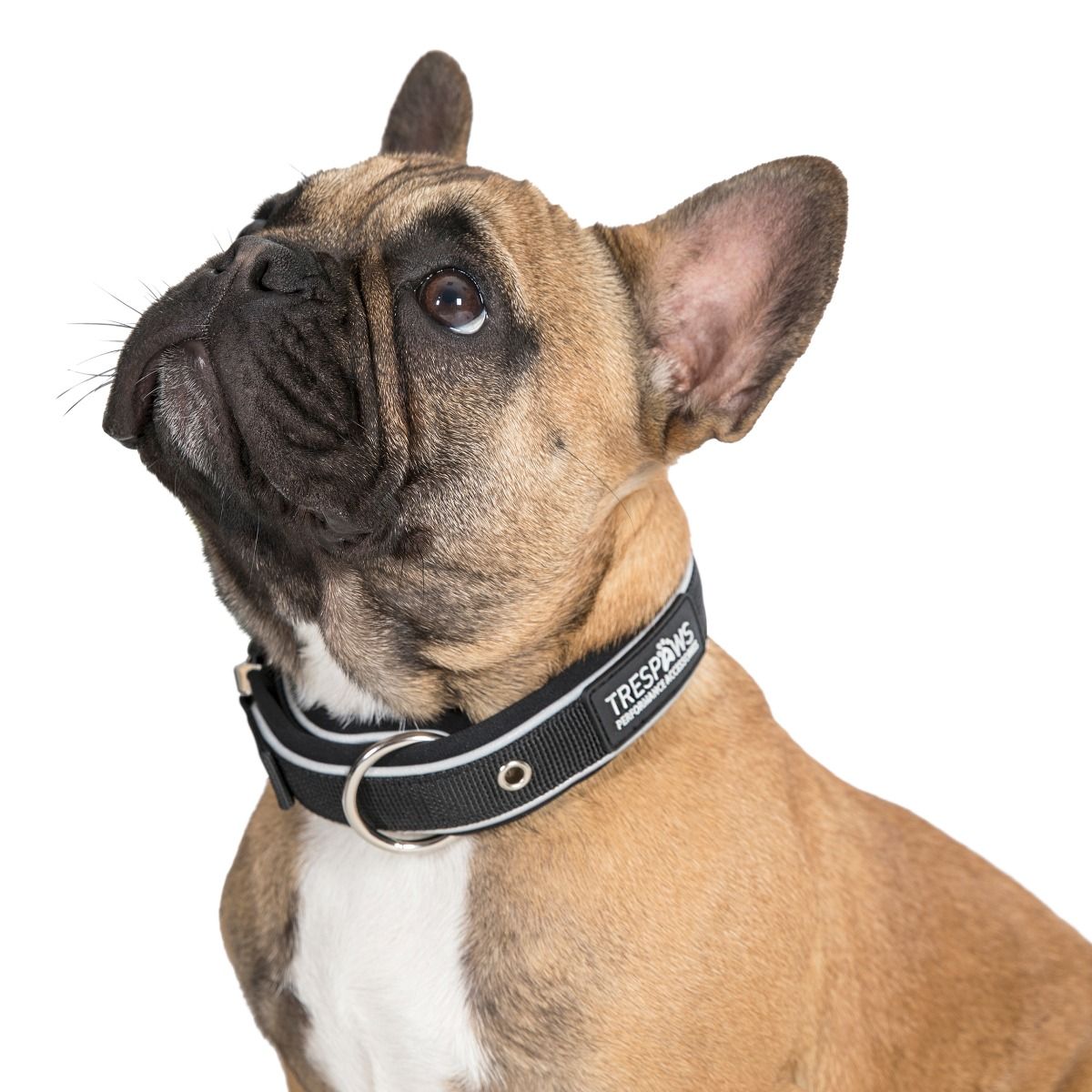 Keira Reflective Dog Collar