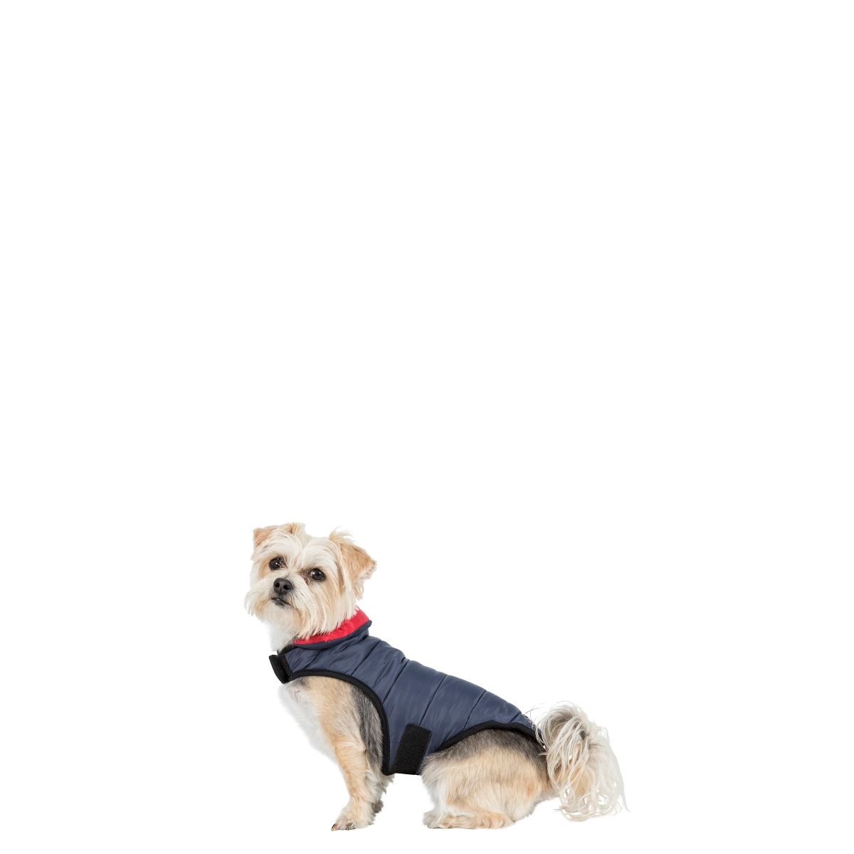 Kimmi Xxs Quilted Reversible Packaway Dog Coat