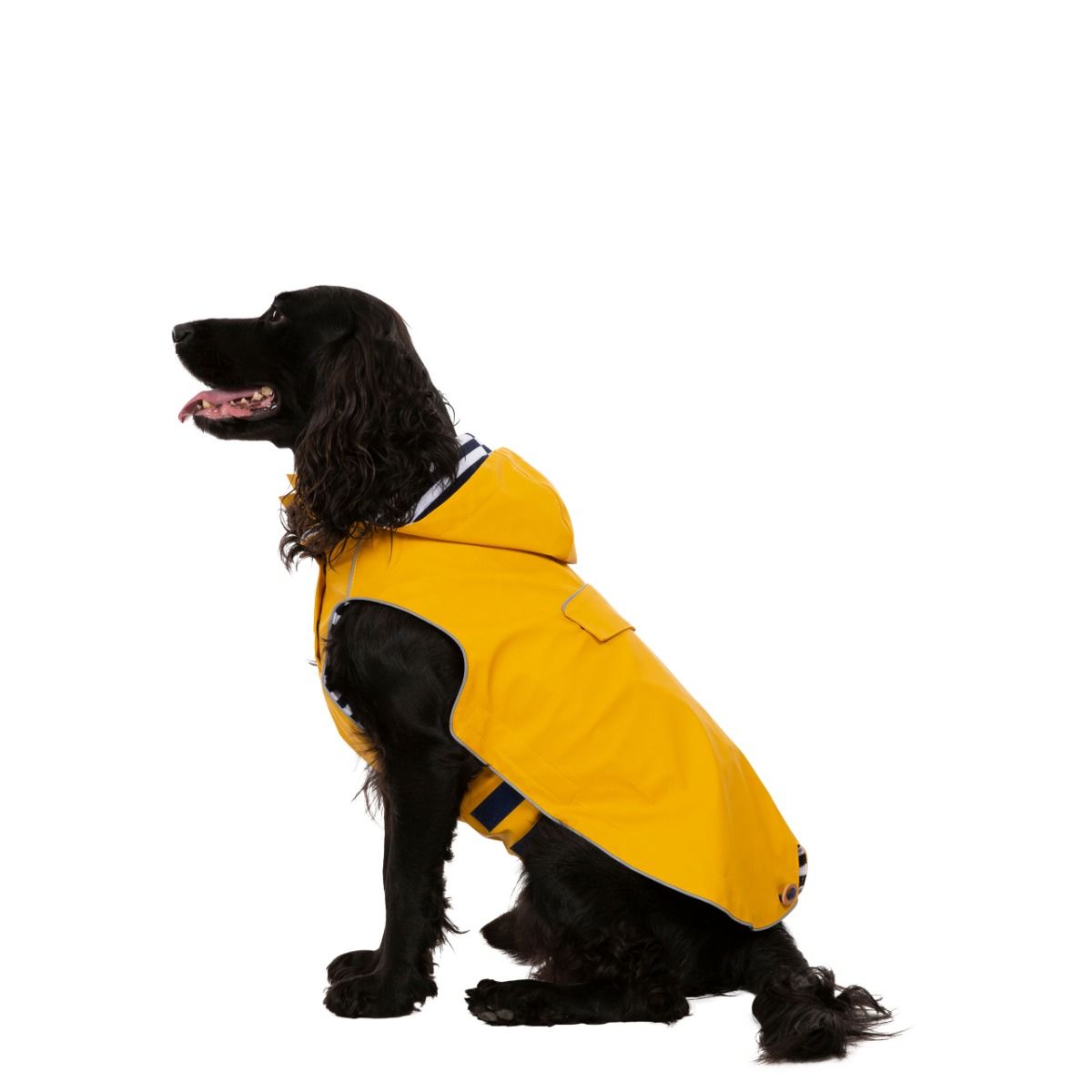 Seadog Waterproof Dog Coat