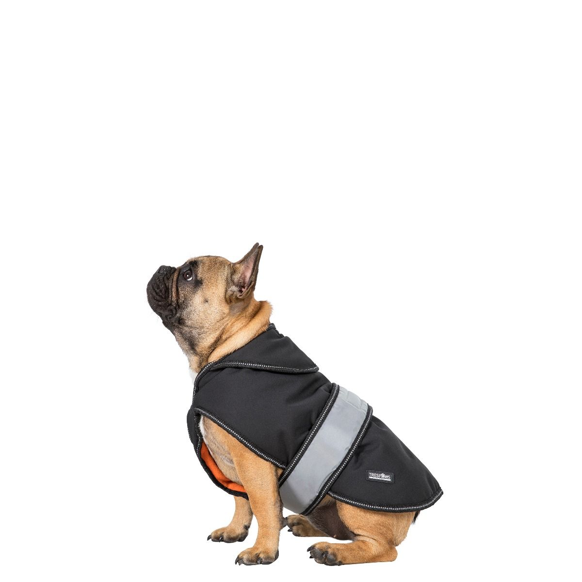 Butch Small Fleece Lined Softshell Dog Coat