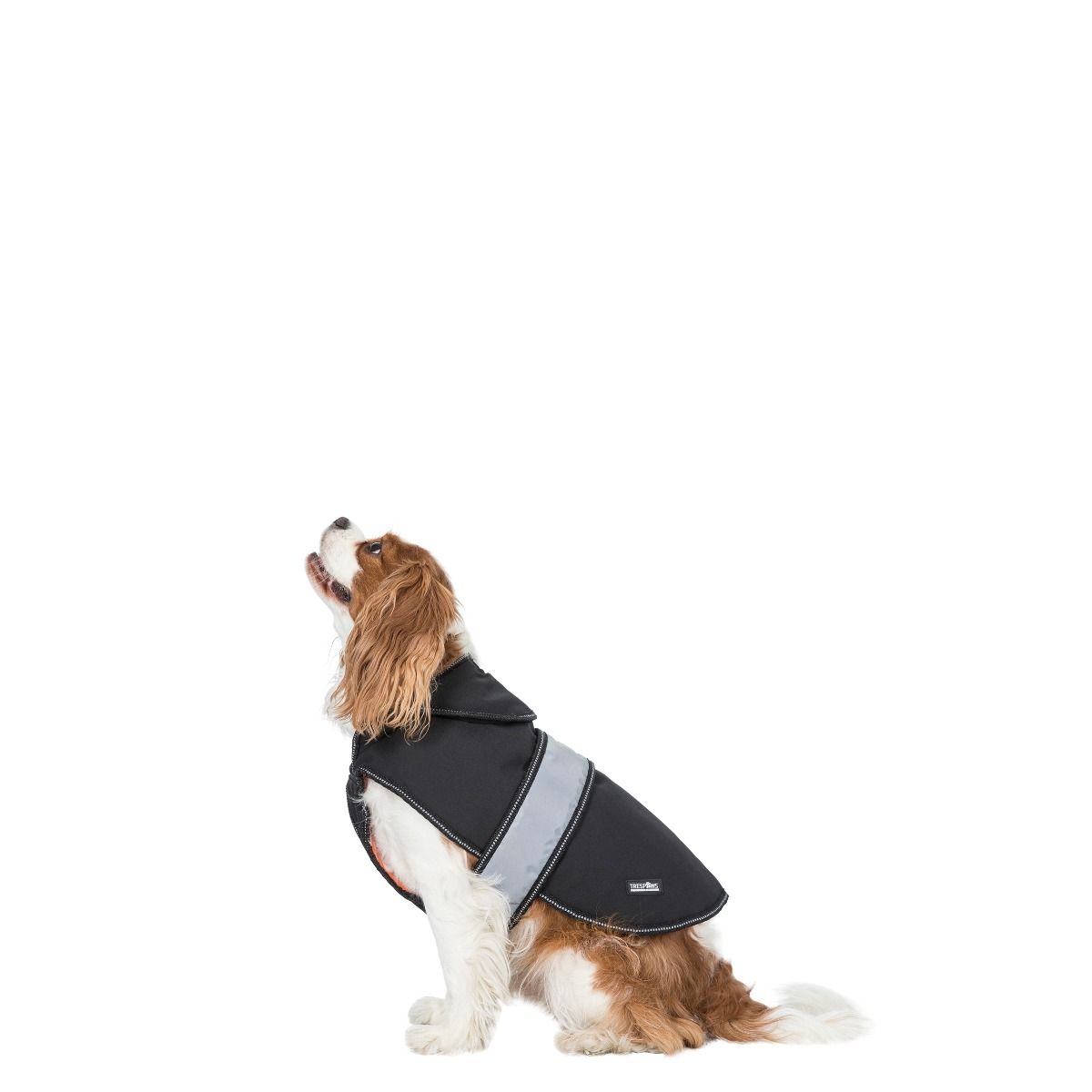 Butch Xs Fleece Lined Softshell Dog Coat