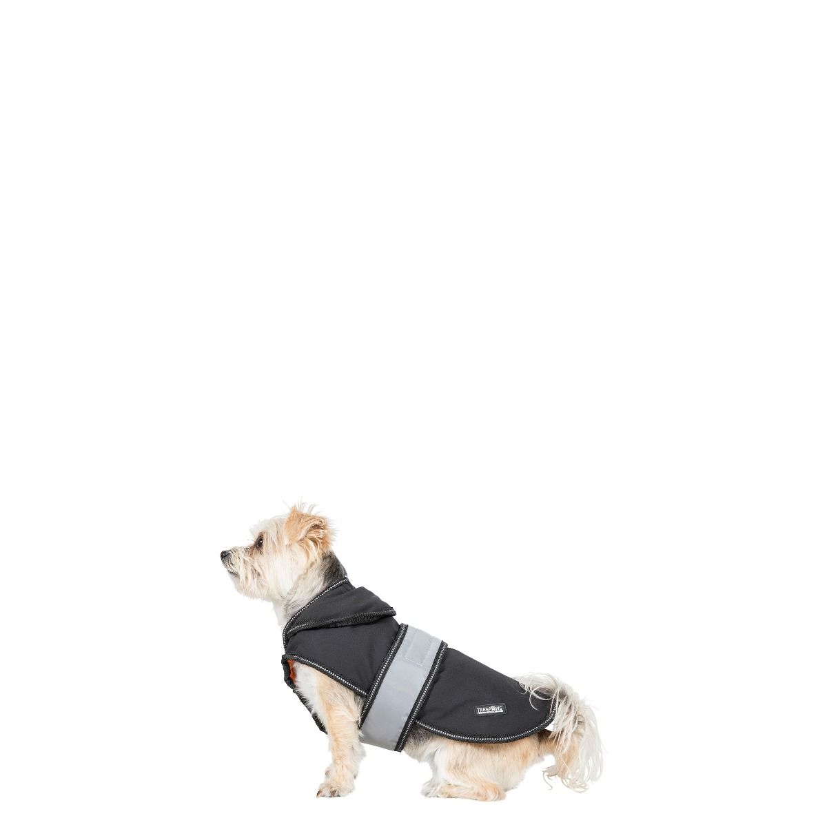 Butch Xxs Fleece Lined Softshell Dog Coat