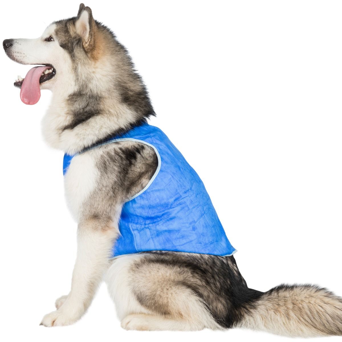 Alaska Dog Cooling Vest