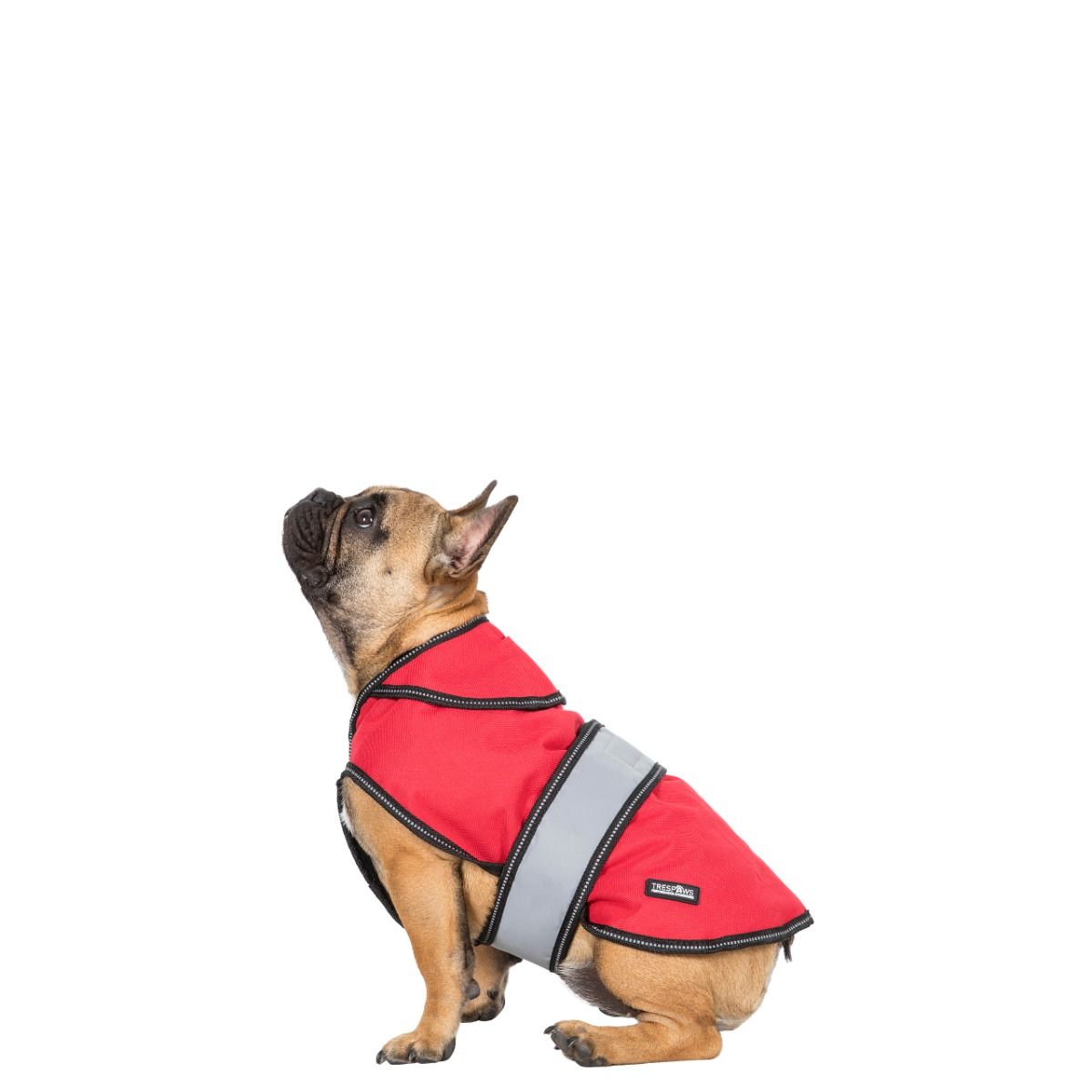 Duke Small 2 In 1 Waterproof Dog Coat