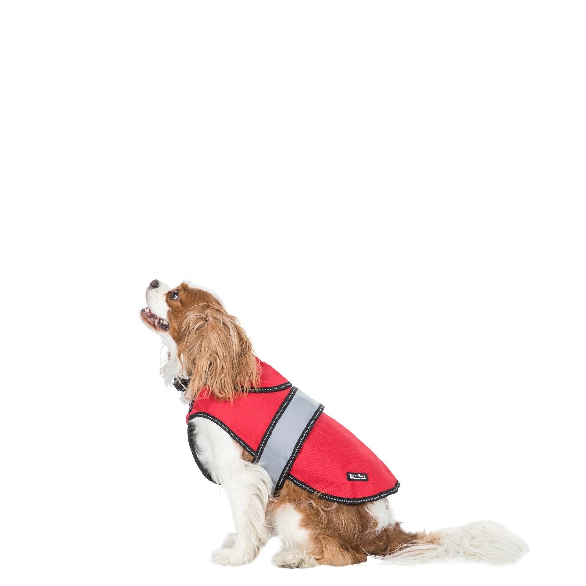 Duke Xs 2 In 1 Waterproof Dog Coat