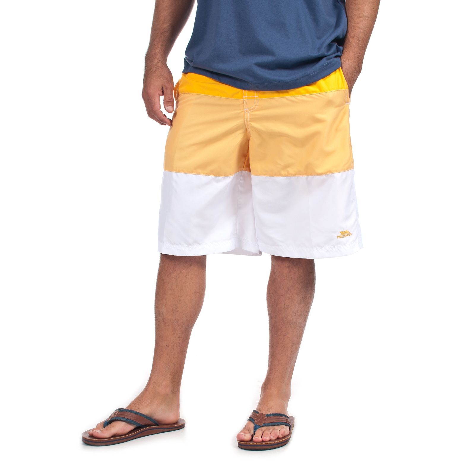 Fred Mens Striped Board Shorts