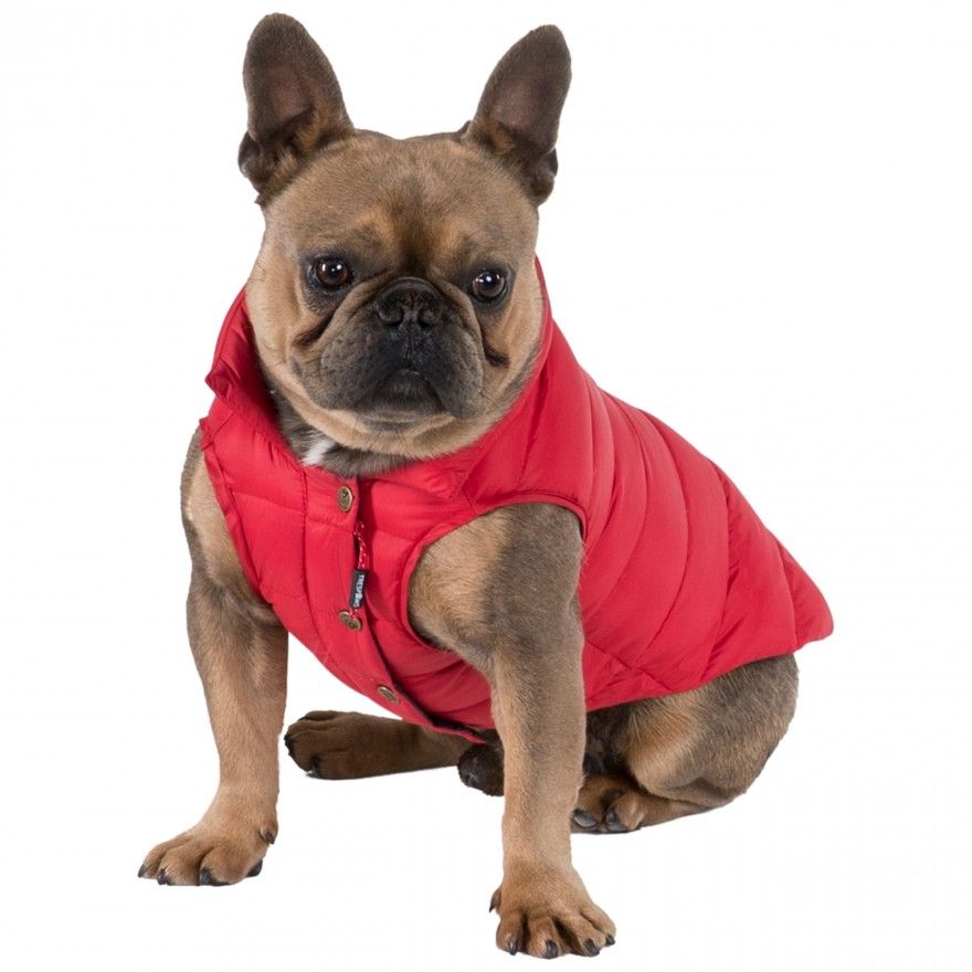 Trespaws Dogby Down Dog Coat