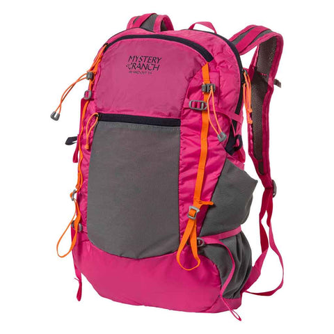 Mystery Ranch  In And Out 19 Backpack  Packable Daypack  Vice