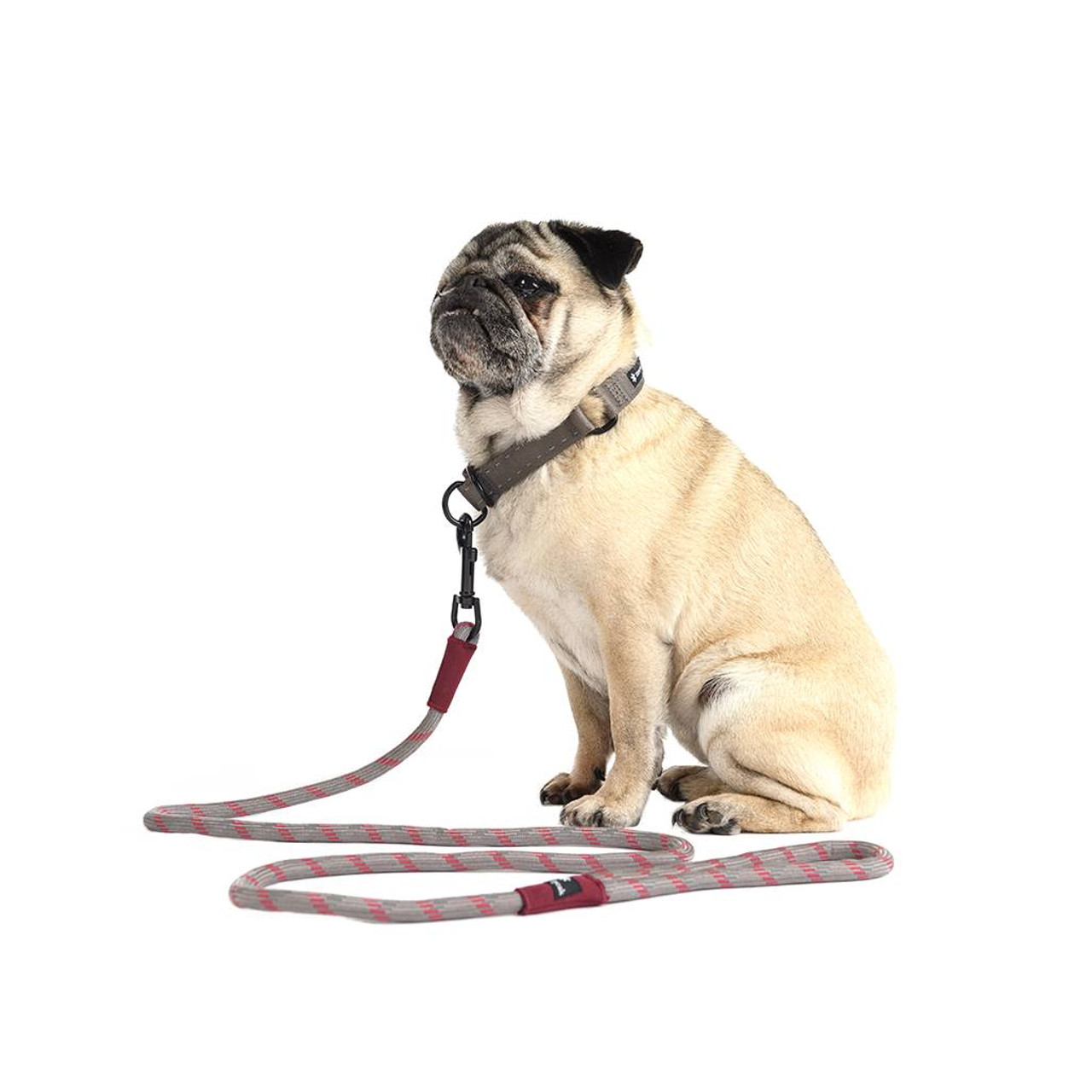 Sp Rope Dog Lead