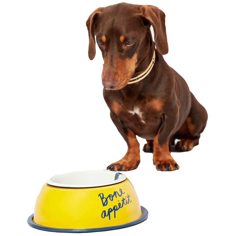 Joules Dog Bone Apetite Non Slip Stainless Steel Dog Bowl One Size