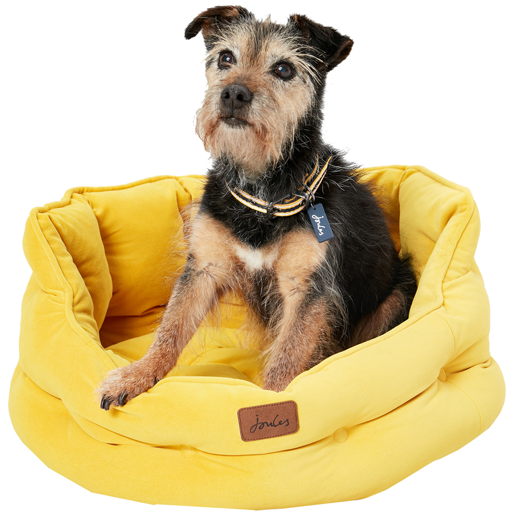 Joules Dog Chesterfield Thick Soft Velvet Pet Bed Small- 50cm