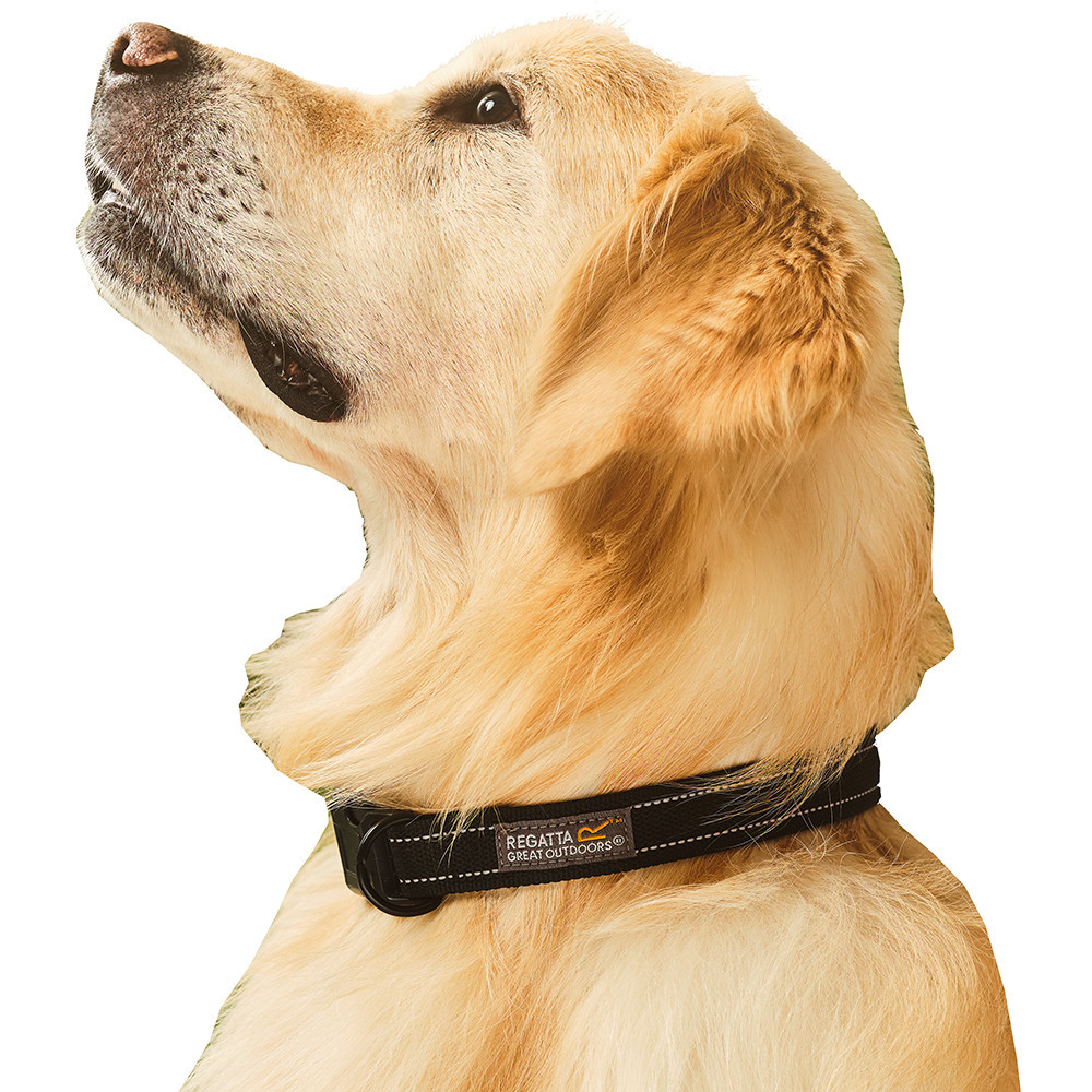 Regatta Dog Premium Hardwearing Quick Release Dog Collar Large / Extra Large