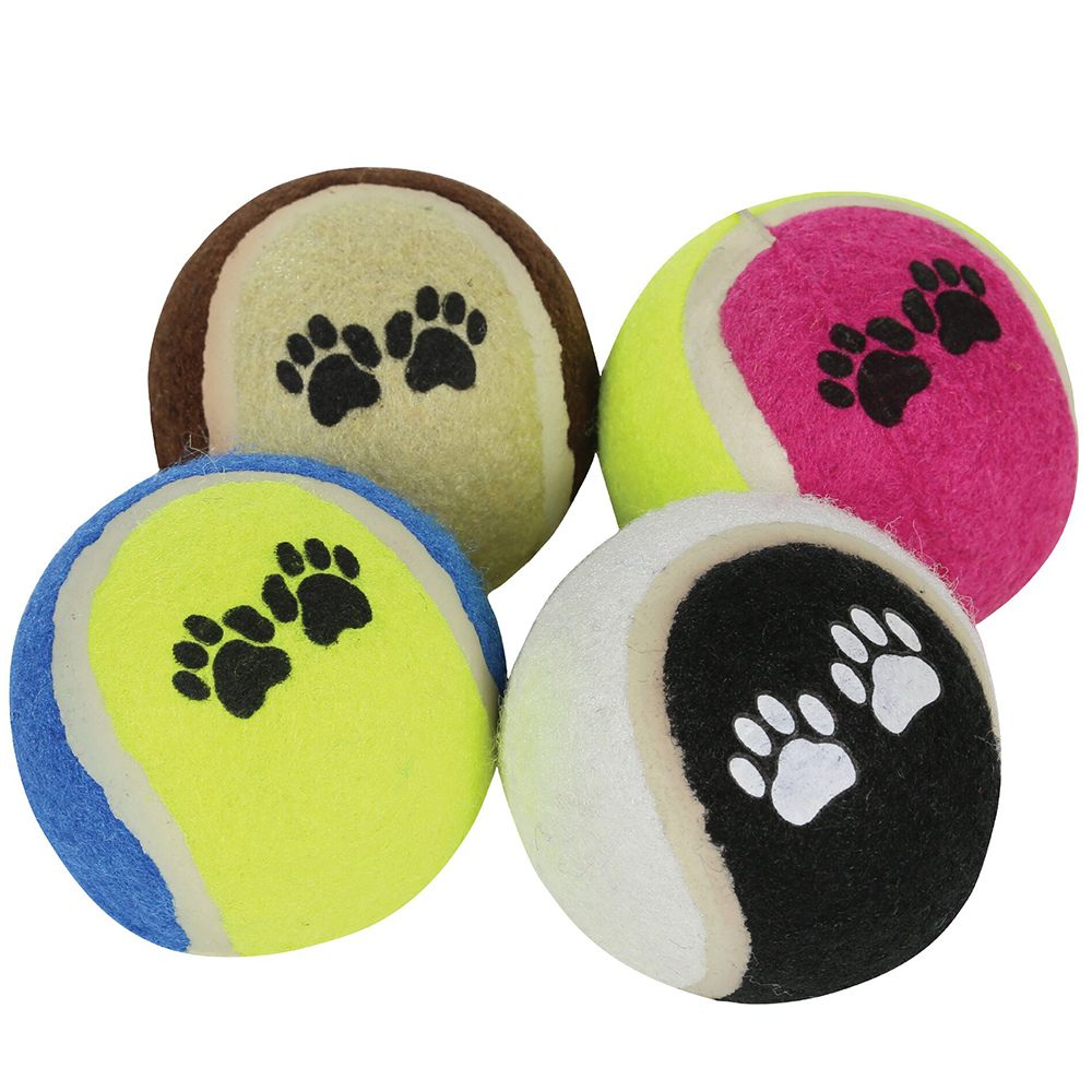 Regatta Dog Tennis Ball 4 Pack Set One Size