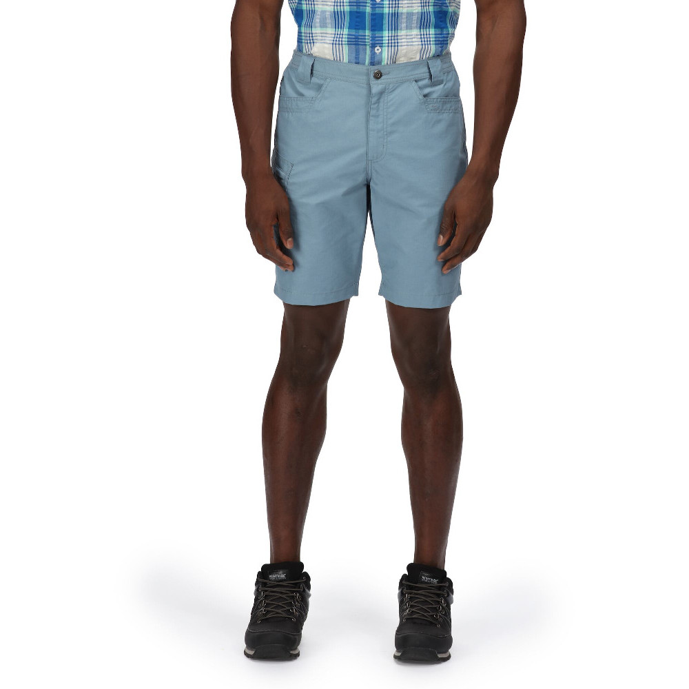 Regatta Mens Delgado Cotton Elasticated Walking Shorts 42 - Waist 42 (106.5cm)  Inside Leg 32