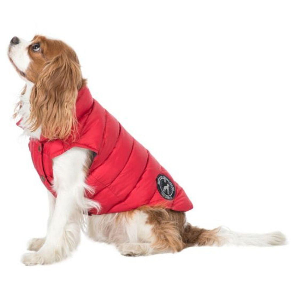Trespass Dogby Warm Reflective Padded Dog Down Jacket Xxs - Back 11.8  Torso 17.7  Neck 11.8