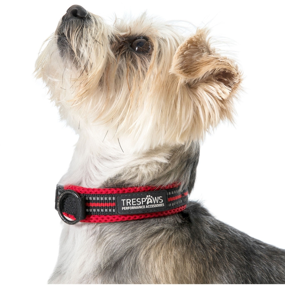 Trespass Mens Scooby Soft Padded Reflective Dog Collar Large